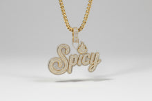 Load image into Gallery viewer, Spicy Style Nameplate