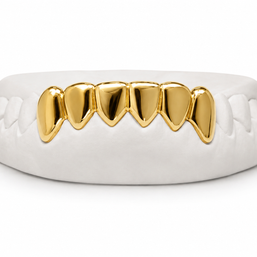Custom Gold & Diamond Grillz