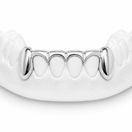 Custom Solid Fang Grillz (Bottom)