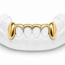 Custom solid fang bottom grillz in 10K gold